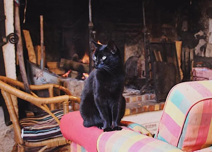 住宿加早餐酒店 Ferme Du Prieure